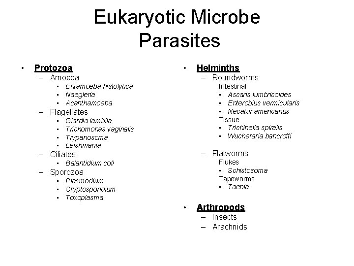 Eukaryotic Microbe Parasites • Protozoa • – Amoeba – Roundworms • Entamoeba histolytica •