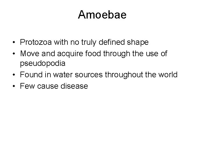 Amoebae • Protozoa with no truly defined shape • Move and acquire food through