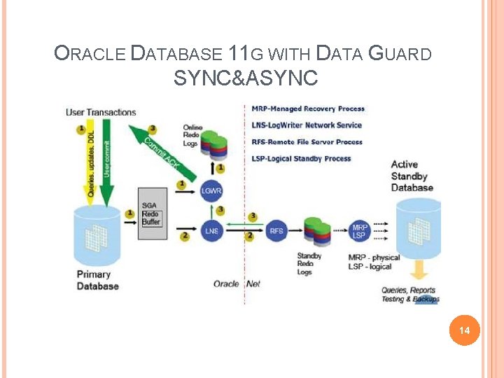 ORACLE DATABASE 11 G WITH DATA GUARD SYNC&ASYNC 14 