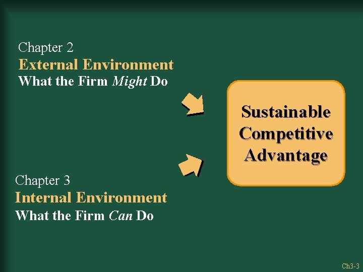 Chapter 2 External Environment What the Firm Might Do Sustainable Competitive Advantage Chapter 3