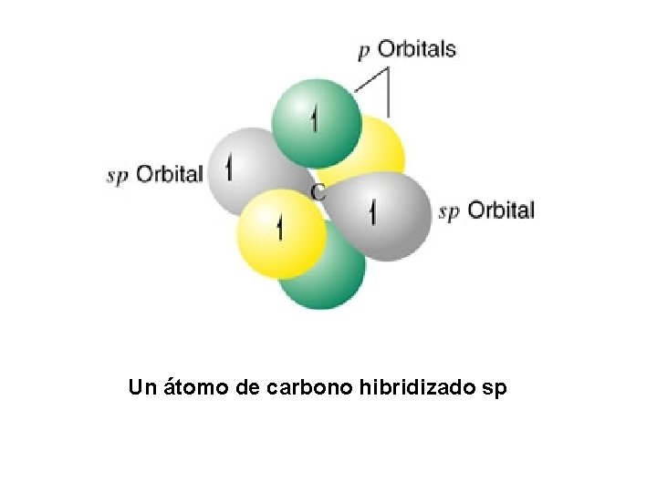 Un átomo de carbono hibridizado sp 