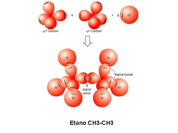 Etano CH 3 -CH 3 