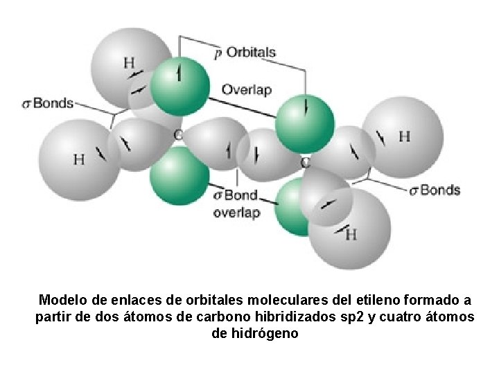 Modelo de enlaces de orbitales moleculares del etileno formado a partir de dos átomos