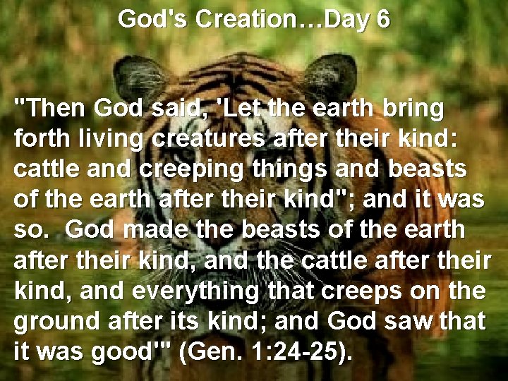 God's Creation…Day 6 Animals "Then God said, 'Let the earth bring forth living creatures