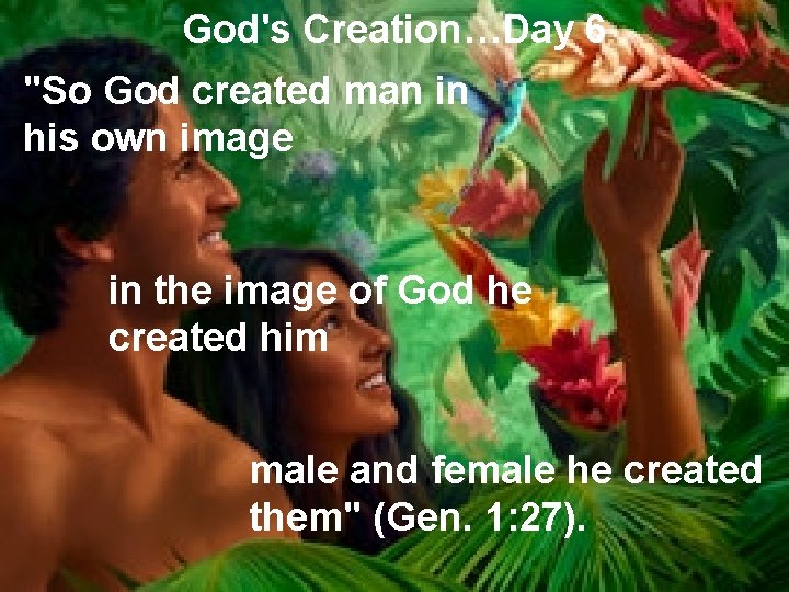 God's Creation…Day 6 "So God created man in his own image in the image