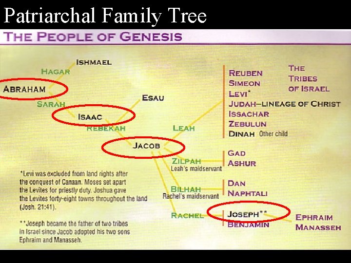 Patriarchal Family Tree 