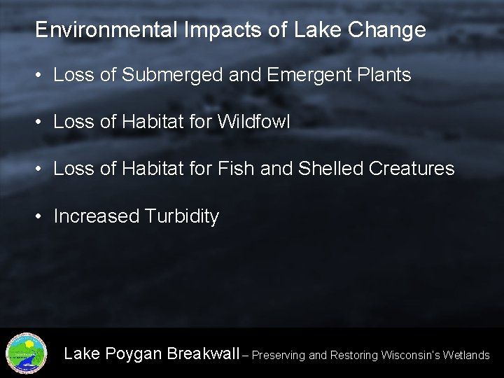 Environmental Impacts of Lake Change • Loss of Submerged and Emergent Plants • Loss