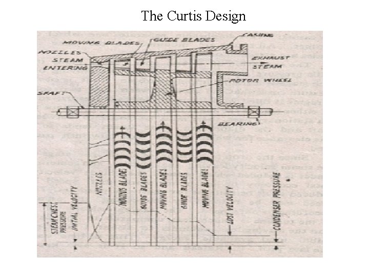 The Curtis Design 