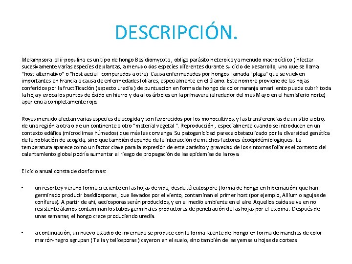 DESCRIPCIÓN. Melampsora allii-populina es un tipo de hongo Basidiomycota , obliga parásito heteroica ya