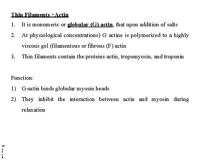 Thin Filaments =Actin 1. It is monomeric or globular (G) actin, that upon addition