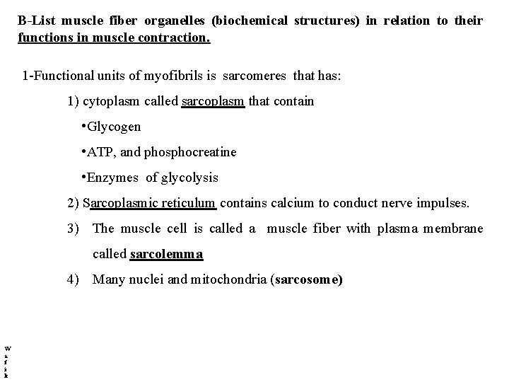 B-List muscle fiber organelles (biochemical structures) in relation to their functions in muscle contraction.