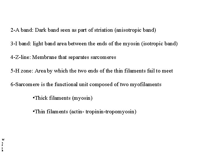 2 -A band: Dark band seen as part of striation (anisotropic band) 3 -I