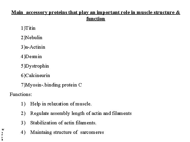 Main accessory proteins that play an important role in muscle structure & function 1)Titin