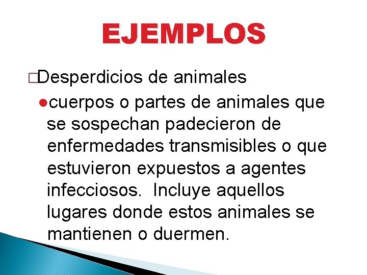 EJEMPLOS �Desperdicios de animales ●cuerpos o partes de animales que se sospechan padecieron de