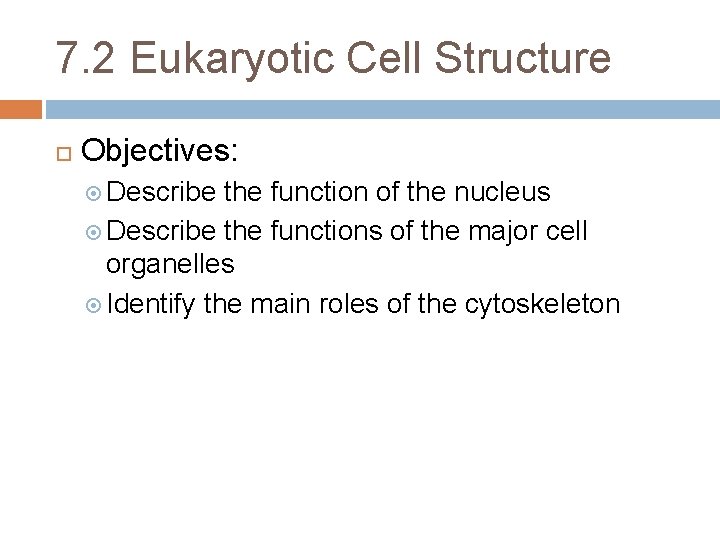 7. 2 Eukaryotic Cell Structure Objectives: Describe the function of the nucleus Describe the