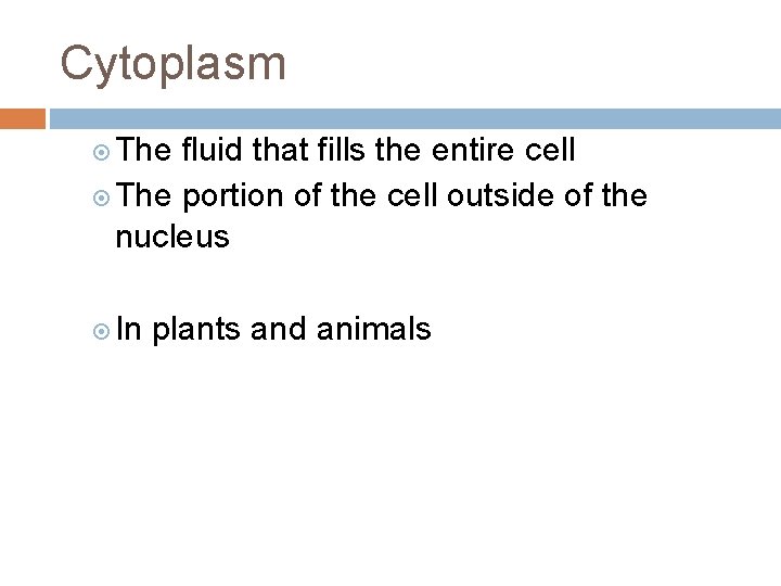 Cytoplasm The fluid that fills the entire cell The portion of the cell outside