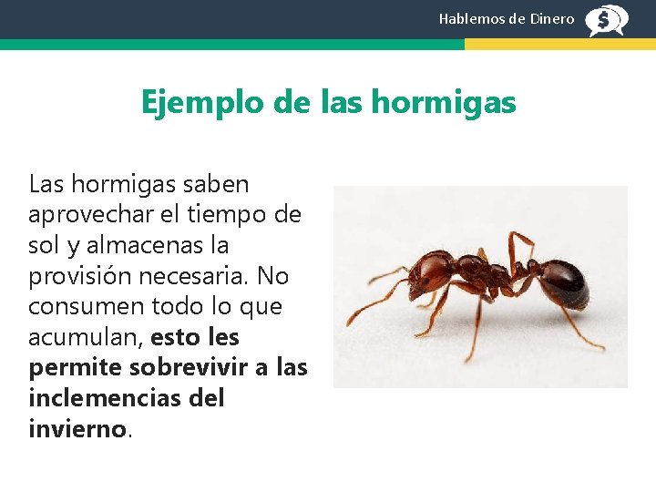 Hablemos de Dinero Ejemplo de las hormigas Las hormigas saben aprovechar el tiempo de