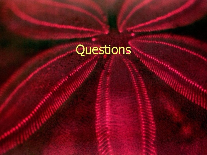 Questions 