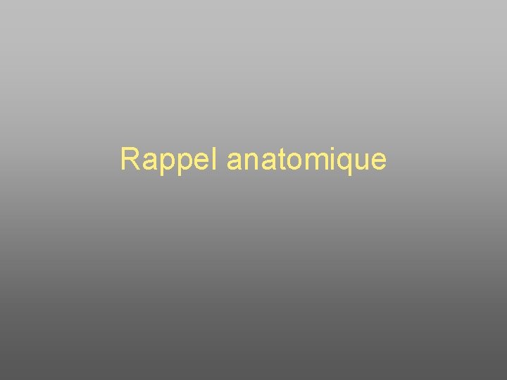 Rappel anatomique 