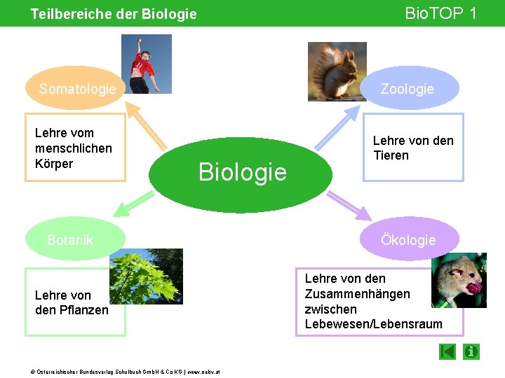 Bio. TOP 1 Teilbereiche der Biologie Somatologie Lehre vom menschlichen Körper Zoologie Biologie Botanik