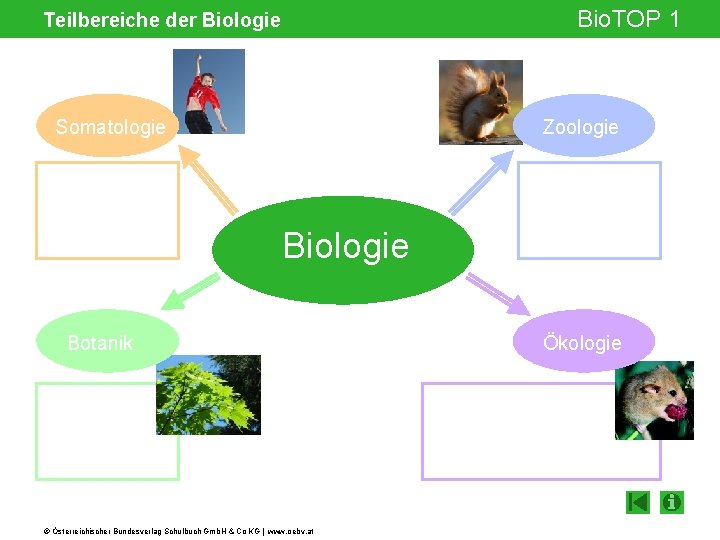 Bio. TOP 1 Teilbereiche der Biologie Somatologie Zoologie Biologie Botanik © Österreichischer Bundesverlag Schulbuch
