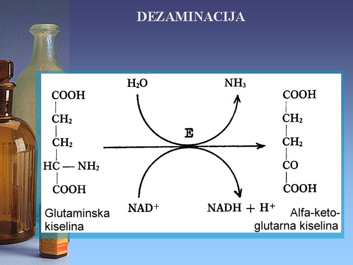 DEZAMINACIJA 