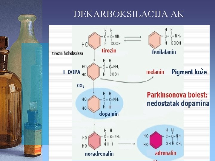 DEKARBOKSILACIJA AK 