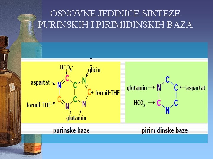 OSNOVNE JEDINICE SINTEZE PURINSKIH I PIRIMIDINSKIH BAZA 