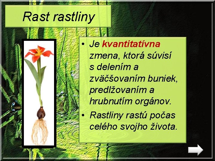 Rast rastliny • Je kvantitatívna zmena, ktorá súvisí s delením a zväčšovaním buniek, predlžovaním