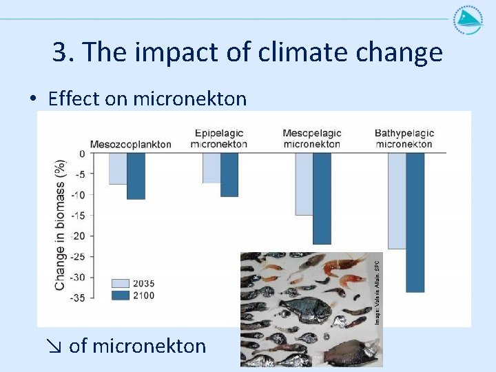 3. The impact of climate change Image: Valerie Allain, SPC • Effect on micronekton