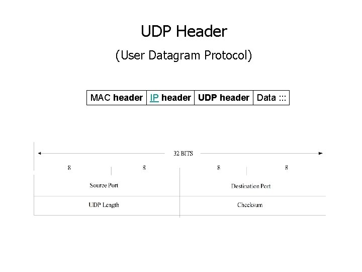 UDP Header (User Datagram Protocol) MAC header IP header UDP header Data : :