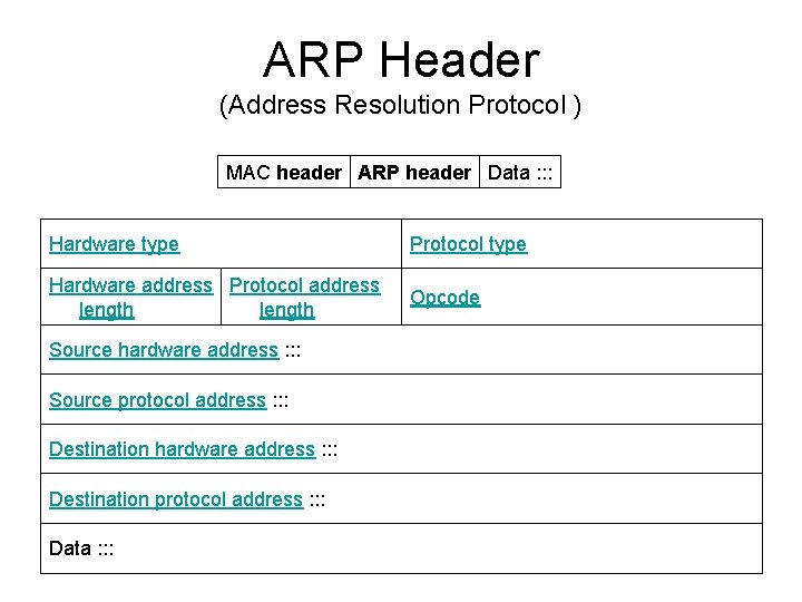 ARP Header (Address Resolution Protocol ) MAC header ARP header Data : : :
