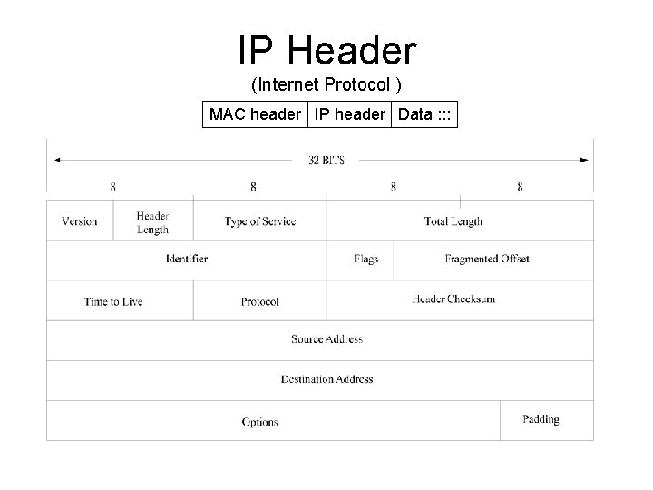 IP Header (Internet Protocol ) MAC header IP header Data : : : 