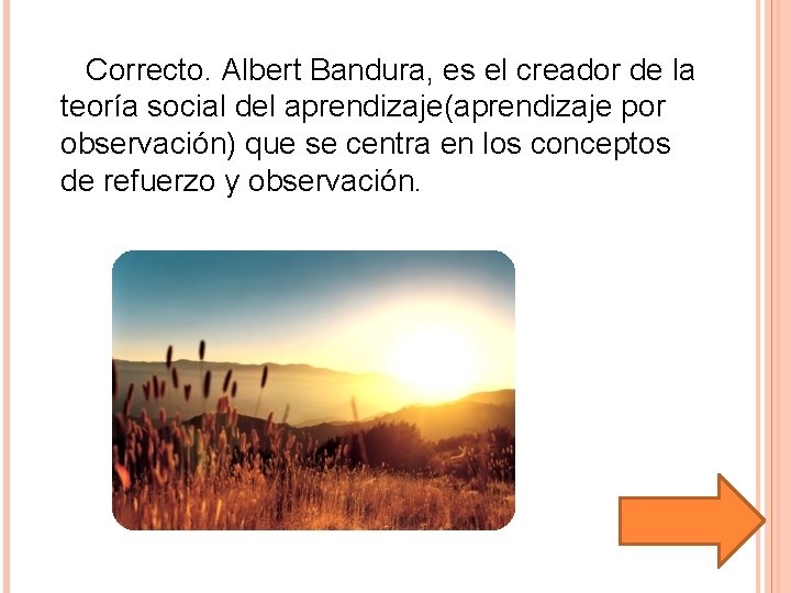 Correcto. Albert Bandura, es el creador de la teoría social del aprendizaje(aprendizaje por observación)