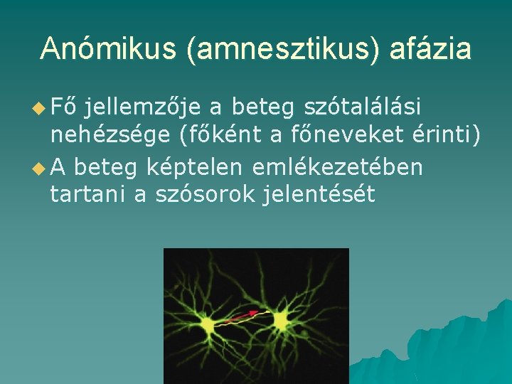 Anómikus (amnesztikus) afázia u Fő jellemzője a beteg szótalálási nehézsége (főként a főneveket érinti)