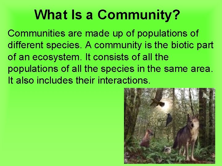 What Is a Community? Communities are made up of populations of different species. A