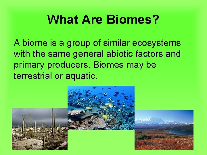 What Are Biomes? A biome is a group of similar ecosystems with the same