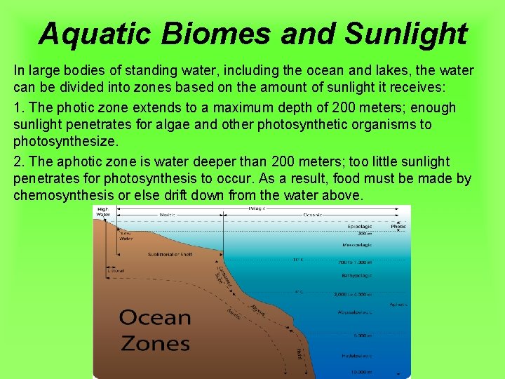 Aquatic Biomes and Sunlight In large bodies of standing water, including the ocean and