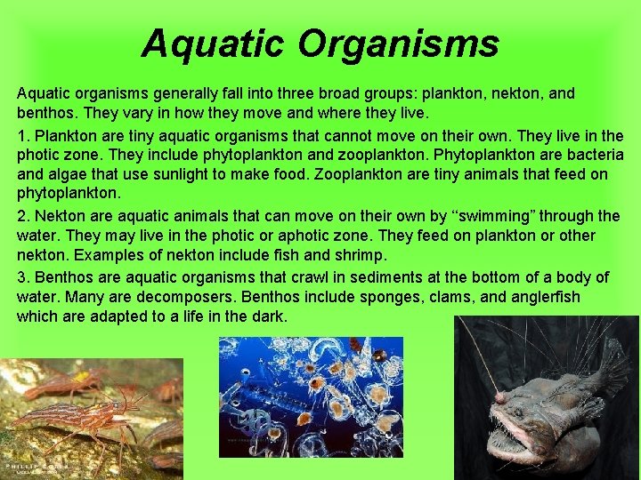 Aquatic Organisms Aquatic organisms generally fall into three broad groups: plankton, nekton, and benthos.