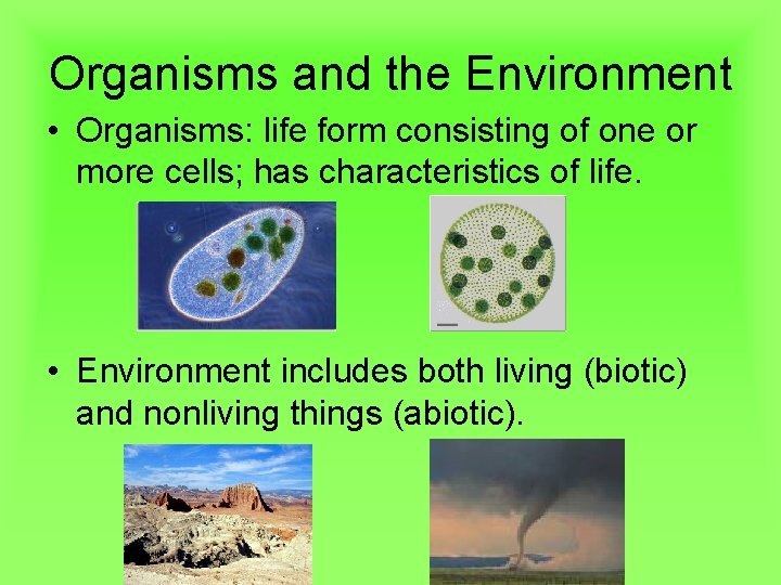Organisms and the Environment • Organisms: life form consisting of one or more cells;