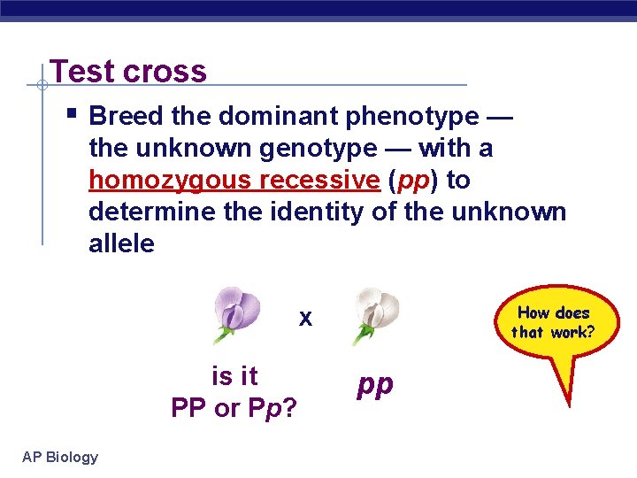 Test cross § Breed the dominant phenotype — the unknown genotype — with a