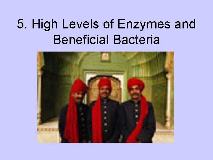 5. High Levels of Enzymes and Beneficial Bacteria 