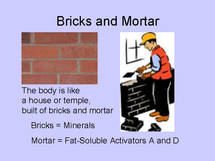 Bricks and Mortar The body is like a house or temple, built of bricks