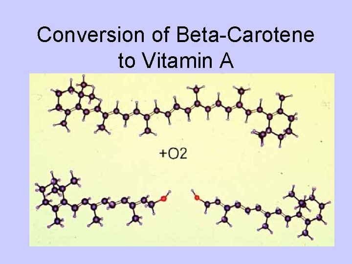Conversion of Beta-Carotene to Vitamin A 
