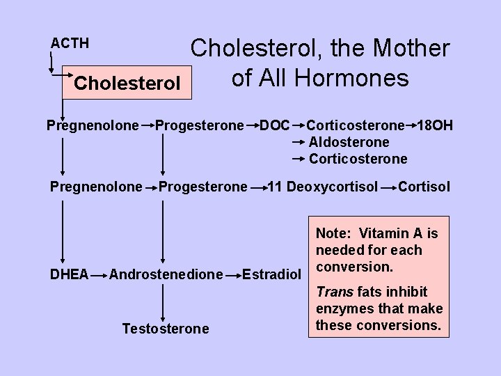 ACTH Cholesterol, the Mother of All Hormones Pregnenolone Progesterone DHEA Androstenedione Testosterone DOC Corticosterone