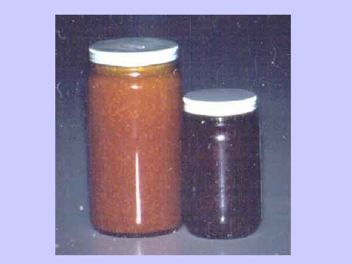 Shrimp Paste 