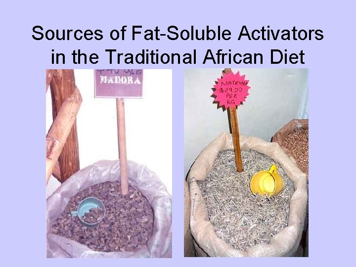 Sources of Fat-Soluble Activators in the Traditional African Diet 
