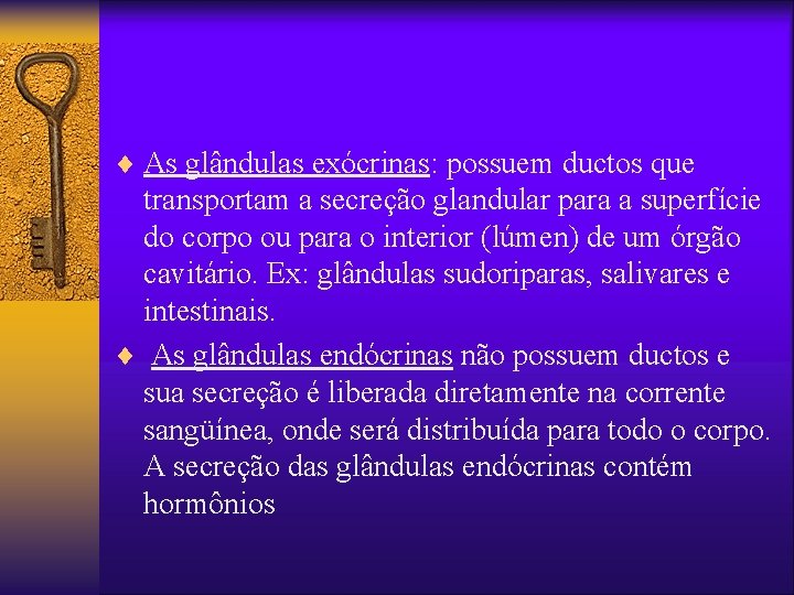 ¨ As glândulas exócrinas: possuem ductos que transportam a secreção glandular para a superfície