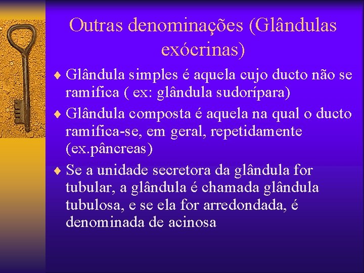 Outras denominações (Glândulas exócrinas) ¨ Glândula simples é aquela cujo ducto não se ramifica