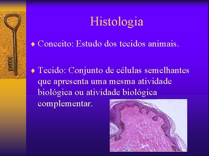 Histologia ¨ Conceito: Estudo dos tecidos animais. ¨ Tecido: Conjunto de células semelhantes que